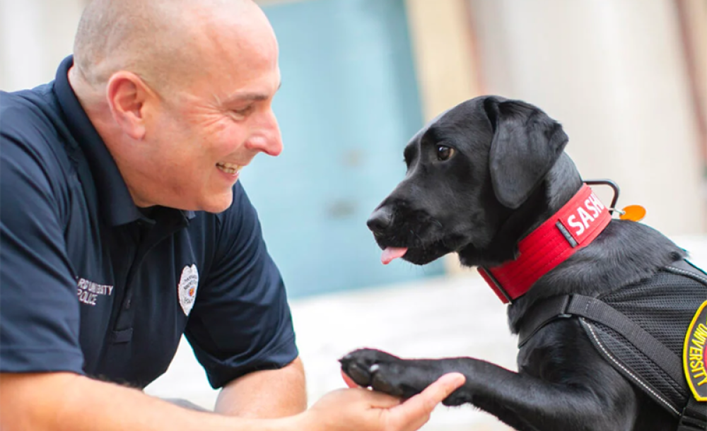 Sasha offers a paw to her handler, Officer Steven Fumicello.