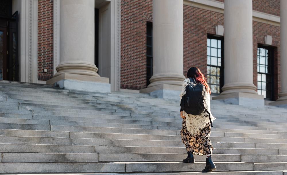A student climbs Widener Library steps pn the way to study.