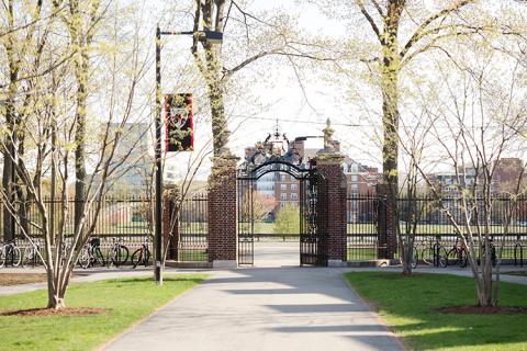 Harvard yard gates