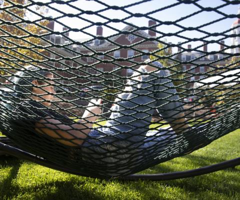 student on hammock reading a book
